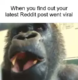 When you find out your latest Reddit post went viral meme