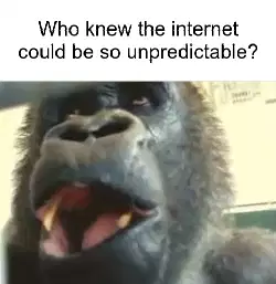 Who knew the internet could be so unpredictable? meme