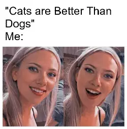 "Cats are Better Than Dogs"
Me: meme