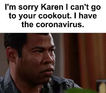 I'm sorry Karen I can't go to your cookout. I have the coronavirus. meme