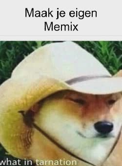 A Dog Says What In Tarnation 