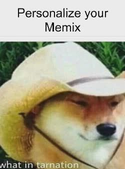 A Dog Says What In Tarnation 