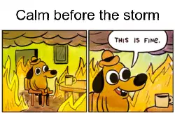 Calm before the storm meme
