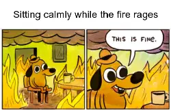 Sitting calmly while the fire rages meme