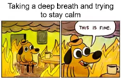 Taking a deep breath and trying to stay calm meme