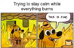 Trying to stay calm while everything burns meme