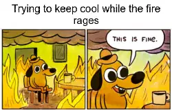 Trying to keep cool while the fire rages meme