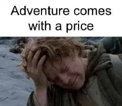 Adventure comes with a price meme