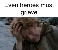 Even heroes must grieve meme