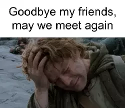 Goodbye my friends, may we meet again meme