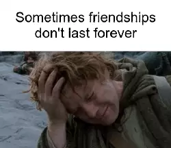 Sometimes friendships don't last forever meme