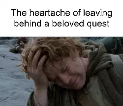 The heartache of leaving behind a beloved quest meme