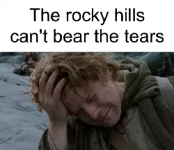 The rocky hills can't bear the tears meme