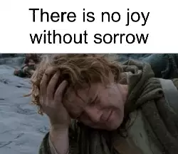 There is no joy without sorrow meme