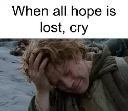 When all hope is lost, cry meme