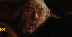 Don't worry, Gandalf's got this one meme