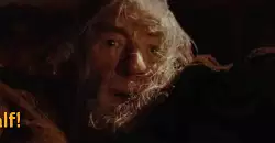 Hang in there, Gandalf! meme