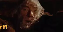 Hold on tight, Gandalf! meme