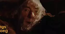The Fellowship of the Rings: When adventure goes wrong meme