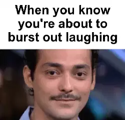 When you know you're about to burst out laughing meme