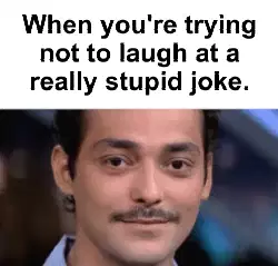 When you're trying not to laugh at a really stupid joke. meme