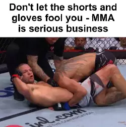 Don't let the shorts and gloves fool you - MMA is serious business meme