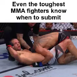 Even the toughest MMA fighters know when to submit meme