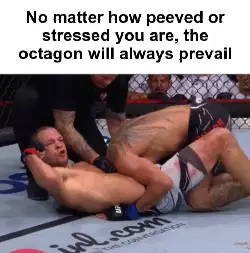 No matter how peeved or stressed you are, the octagon will always prevail meme
