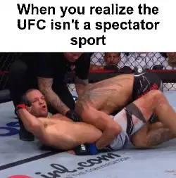 When you realize the UFC isn't a spectator sport meme