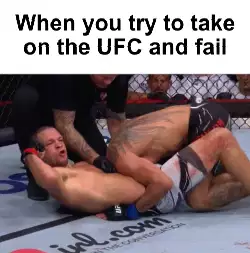 When you try to take on the UFC and fail meme