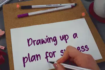Drawing up a plan for success meme