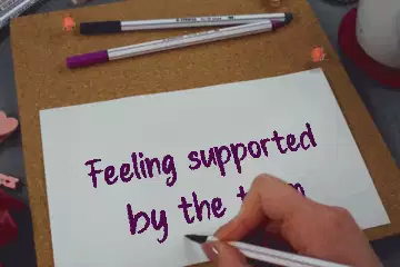Feeling supported by the team meme
