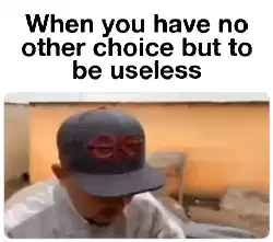 When you have no other choice but to be useless meme