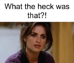 What the heck was that?! meme
