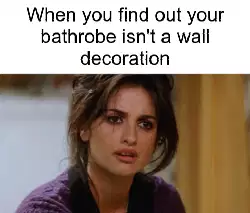 When you find out your bathrobe isn't a wall decoration meme
