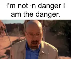 I'm not in danger I am the danger. meme