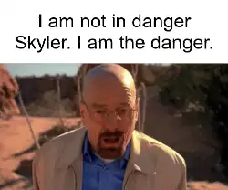 I am not in danger Skyler. I am the danger. meme