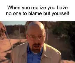 When you realize you have no one to blame but yourself meme