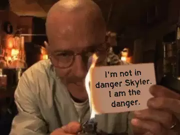 I'm not in danger Skyler. I am the danger. meme
