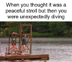 When you thought it was a peaceful stroll but then you were unexpectedly diving meme
