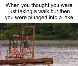 When you thought you were just taking a walk but then you were plunged into a lake meme