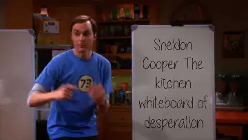 Sheldon Cooper: The kitchen whiteboard of desperation meme