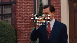 Calm and cool on the outside, chaos on the inside meme