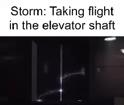 Storm: Taking flight in the elevator shaft meme