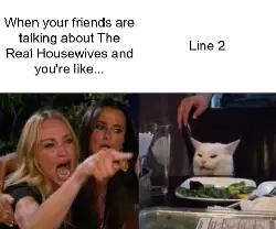 When your friends are talking about The Real Housewives and you're like... meme