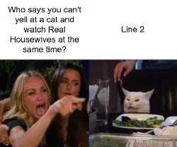 Who says you can't yell at a cat and watch Real Housewives at the same time? meme