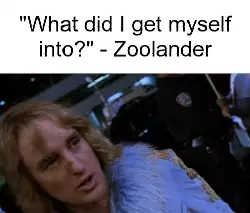 "What did I get myself into?" - Zoolander meme